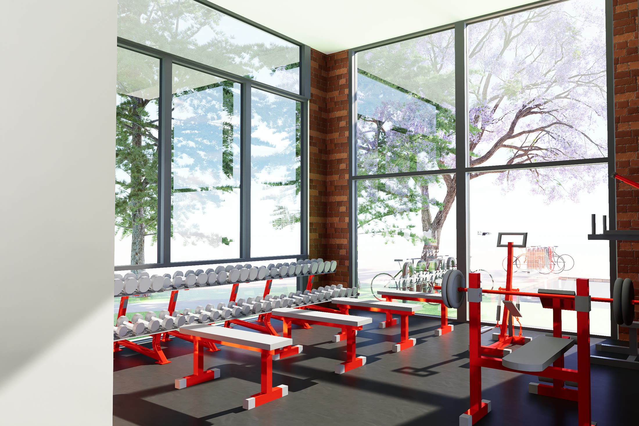 The free weights end of the gym, racked along a fully glazed wall looking out to the trees