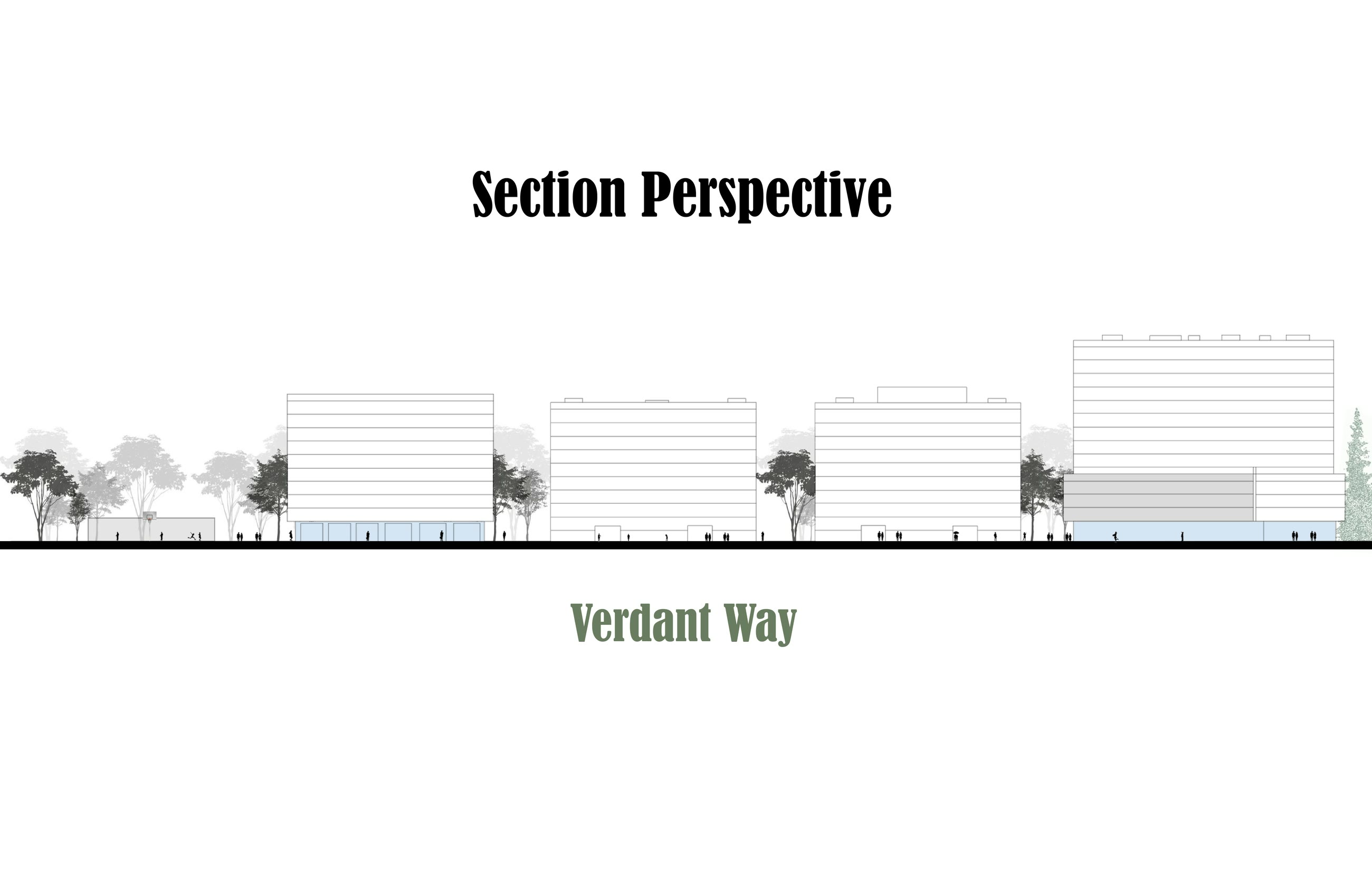 Section perspective along Verdant Way, cutting through the blocks either side of the internal street
