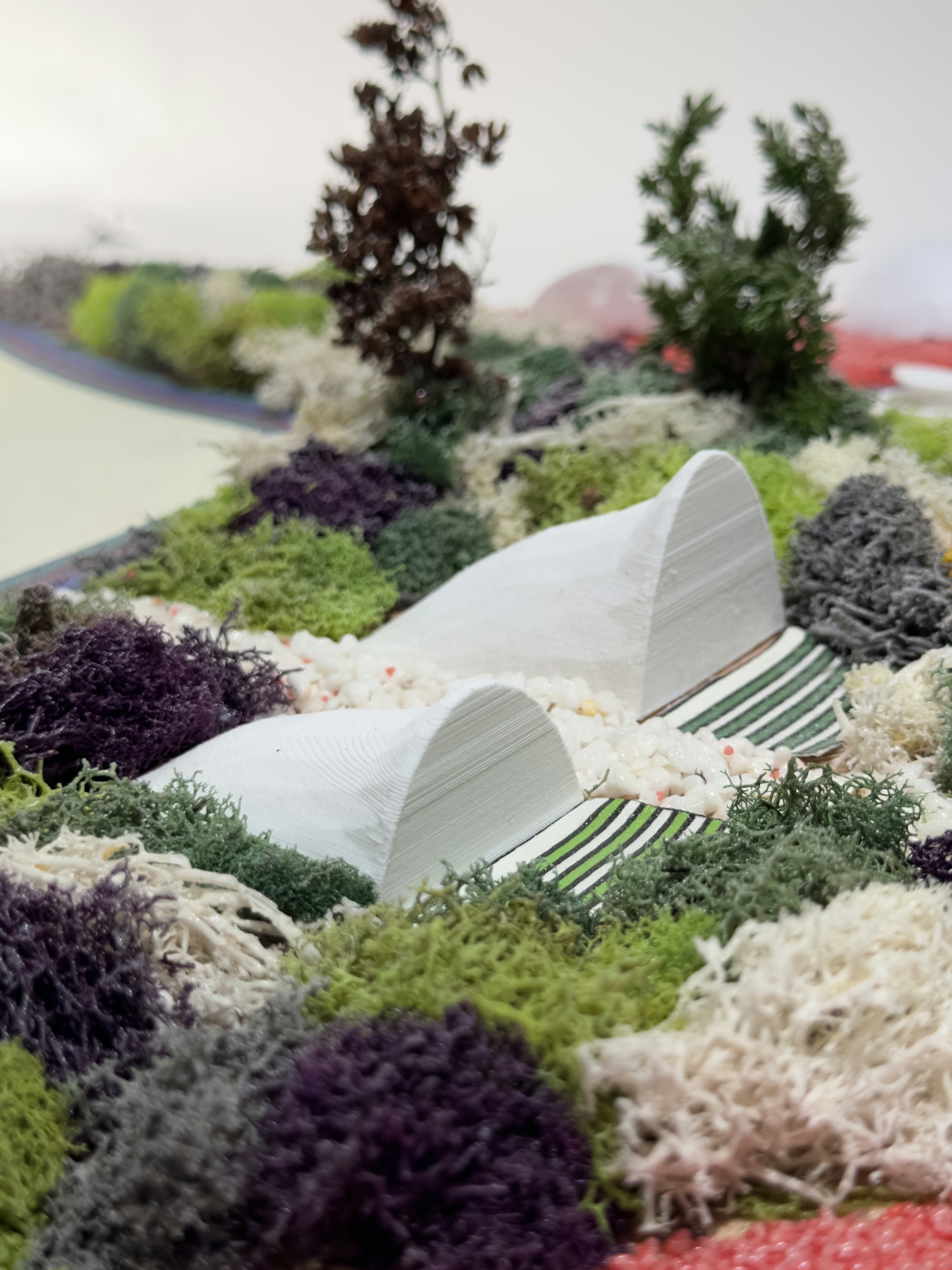The model from the lake edge, the white shell rising out of the planting behind it