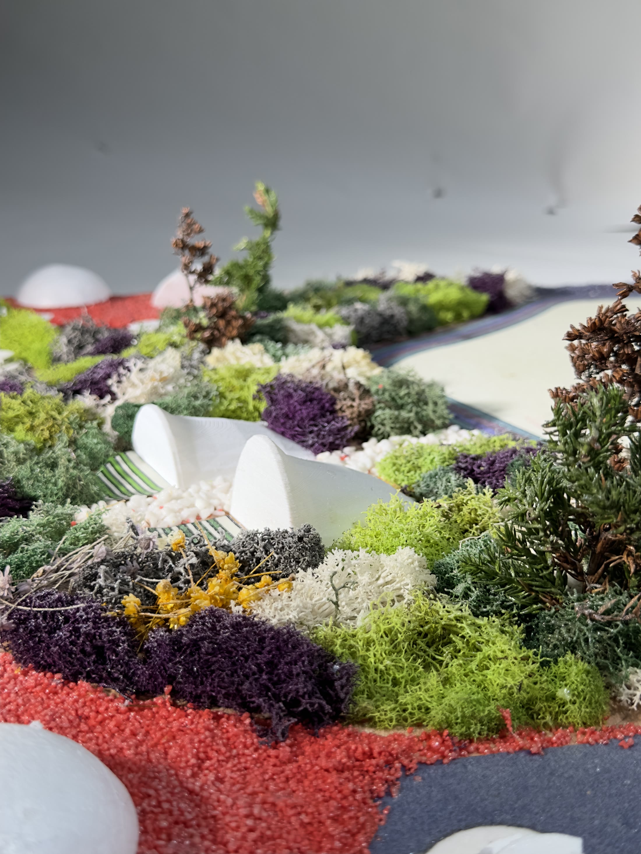 Close view into the model with the white shell of the pavilion set among dense lichen planting