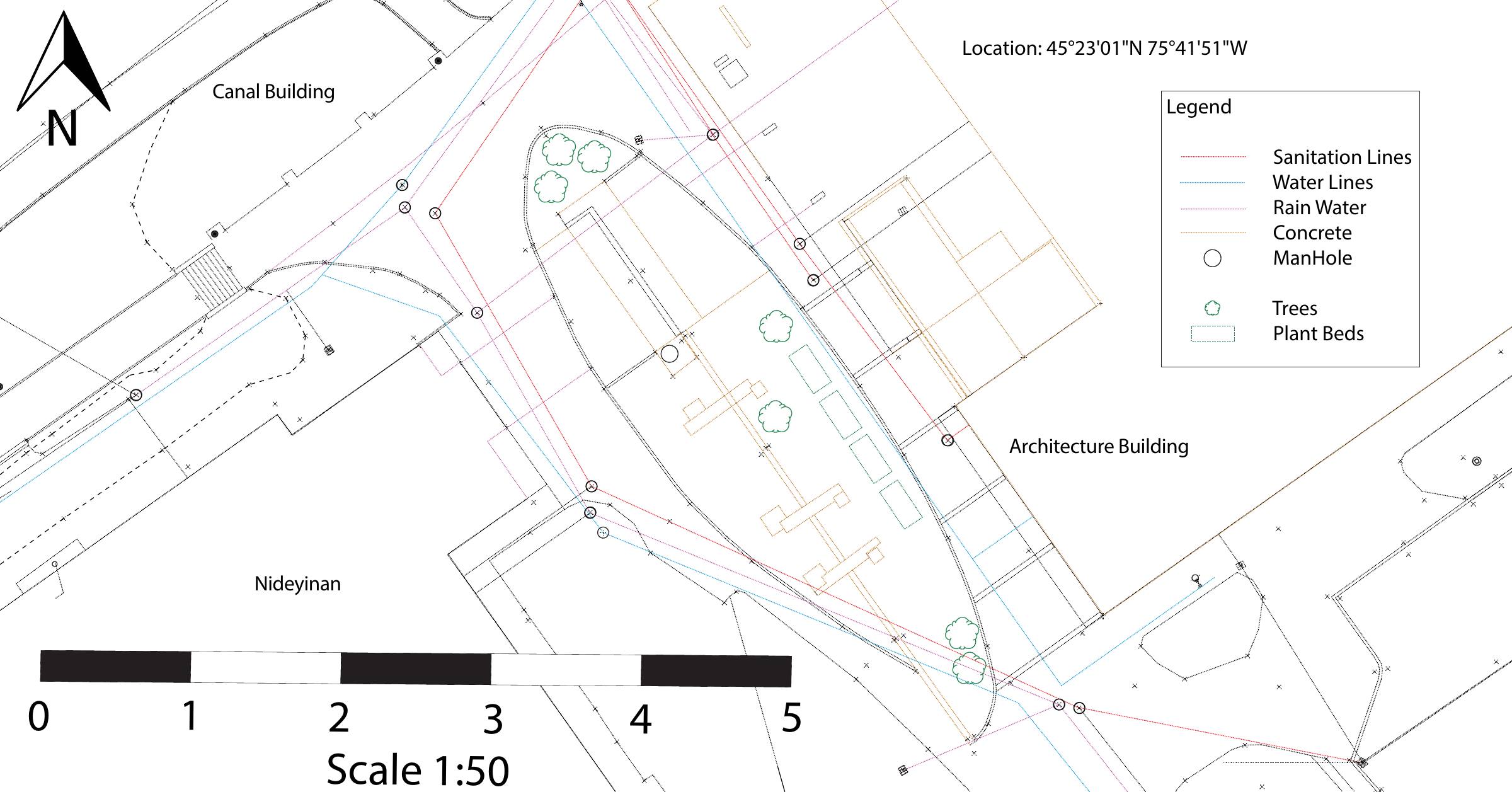 Site inventory plan recording what is already on the courtyard, including existing trees, paving and access points