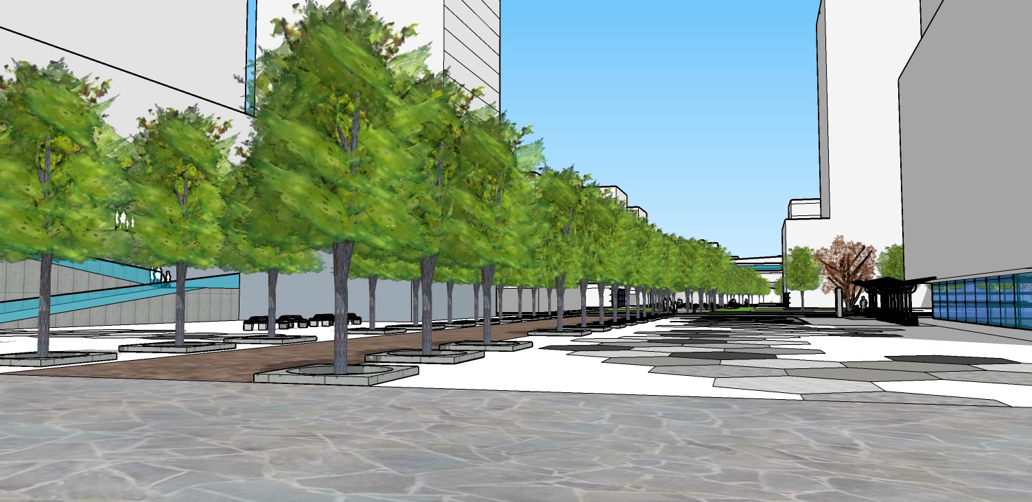 Eye level view down the tree lined avenue with the paving running out toward the water